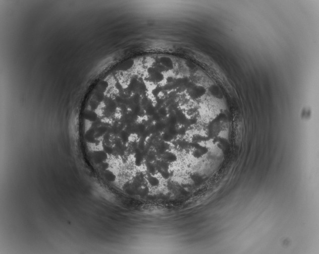 X0000102810729200809150951