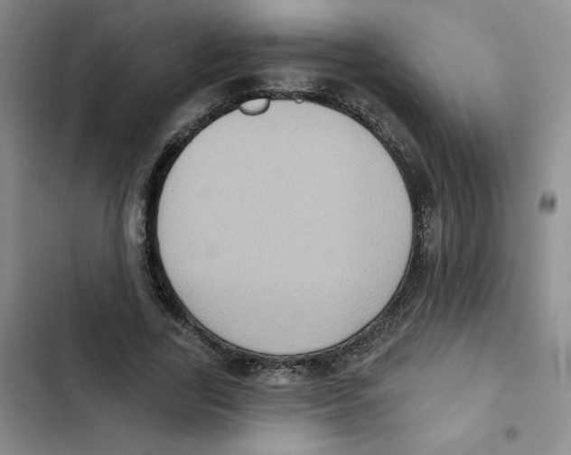 X0000102810731200809150951