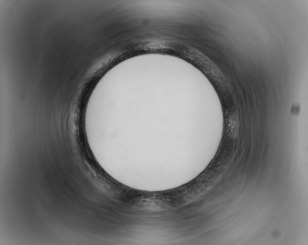 X0000102810732200809150951