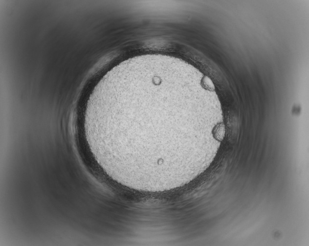 X0000102810734200809150951