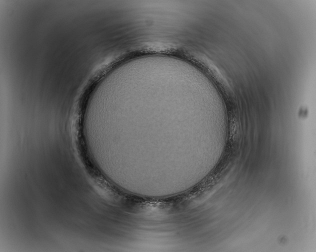 X0000102810736200809150951