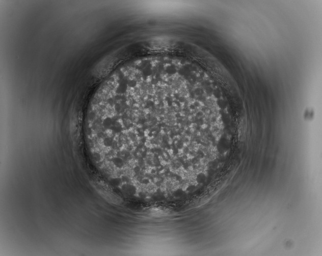 X0000102810737200809150951