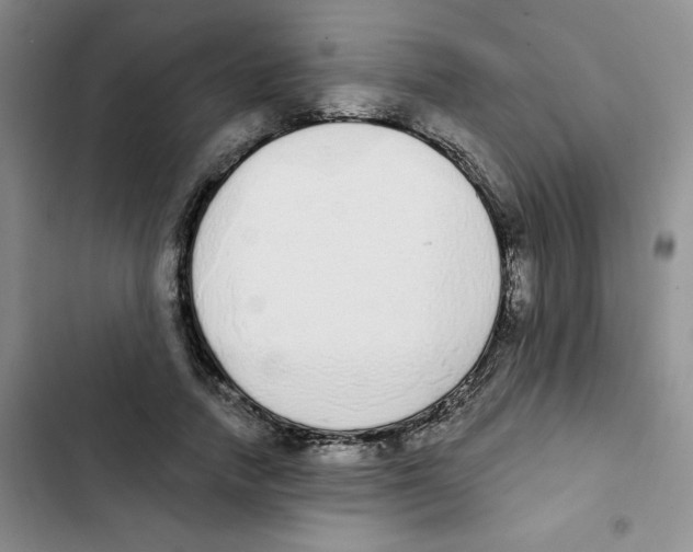 X0000102810738200809150951