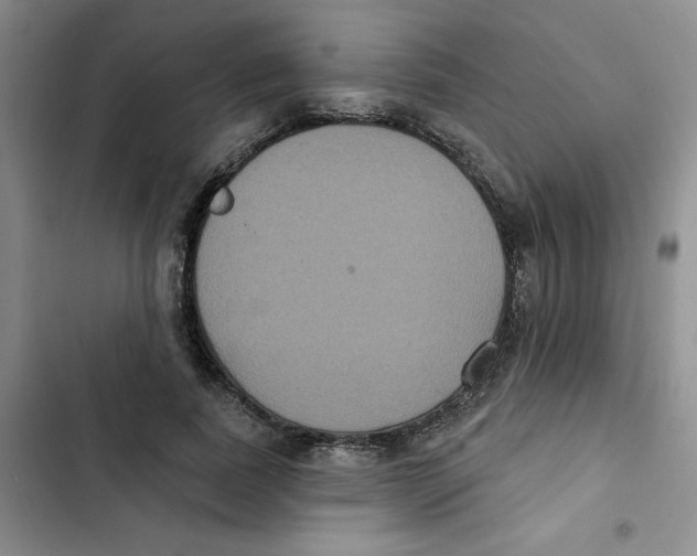 X0000102810739200809150951