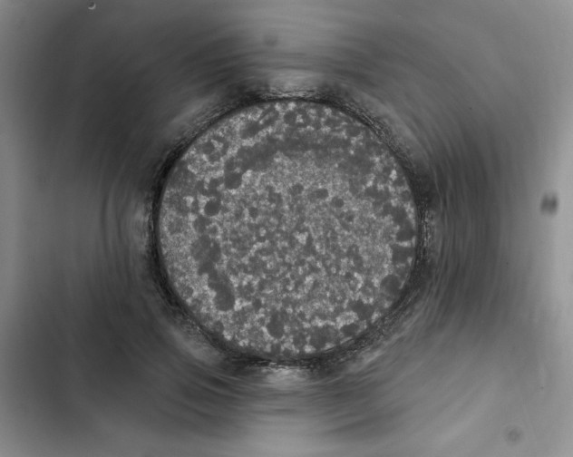 X0000102810741200809150951