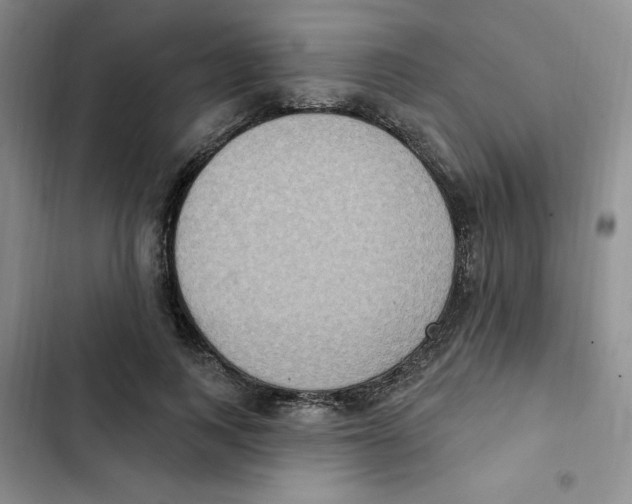 X0000102810743200809150951