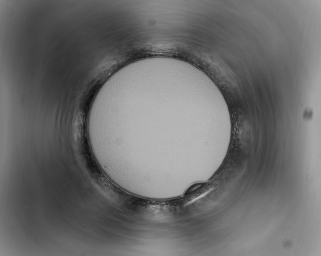 X0000102810744200809150951