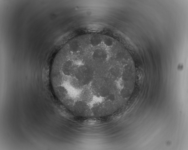 X0000102810745200809150951