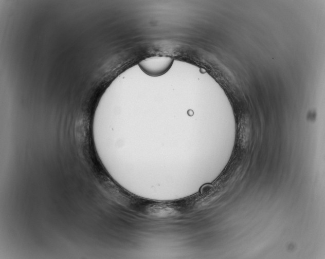 X0000102810747200809150951