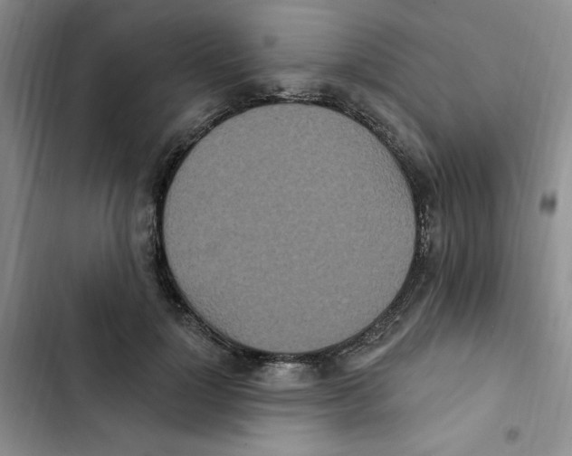 X0000102810748200809150951