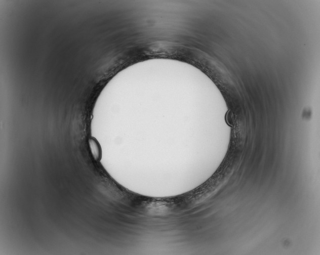 X0000102810751200809150951