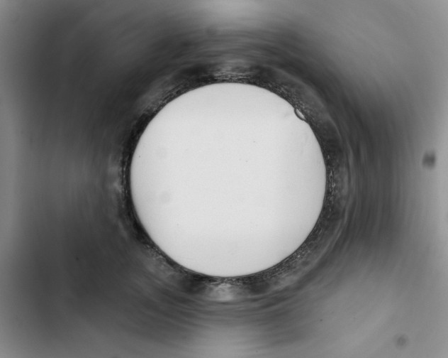 X0000102810755200809150951