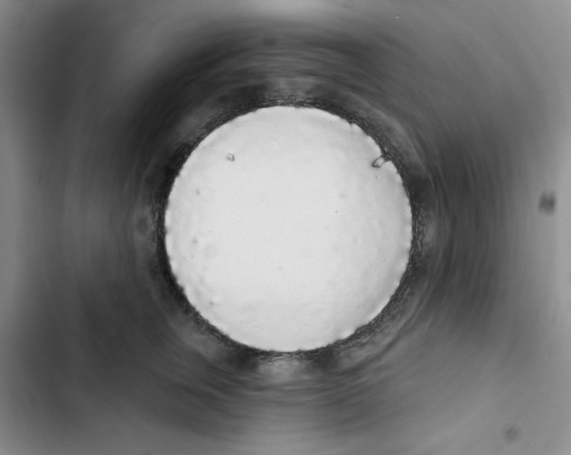 X0000102810759200809150951