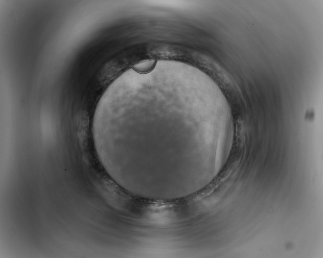 X0000102810760200809150951