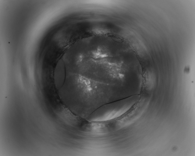 X0000102810762200809150952