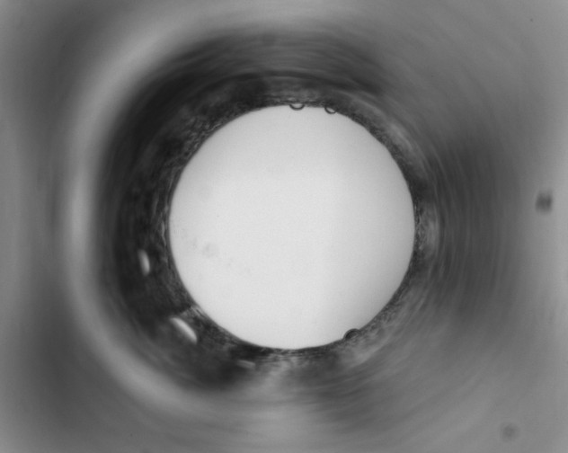 X0000102810764200809150952