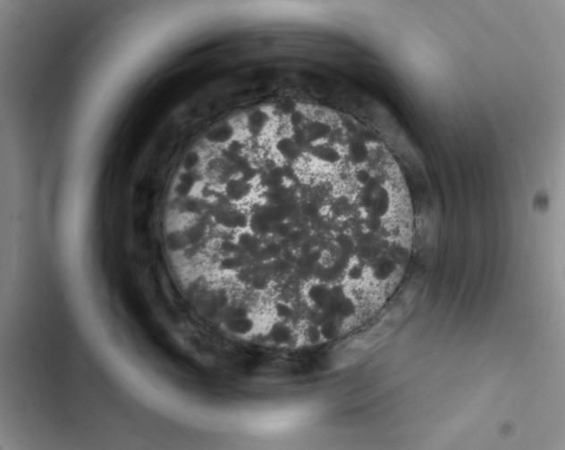 X0000102810765200809150952