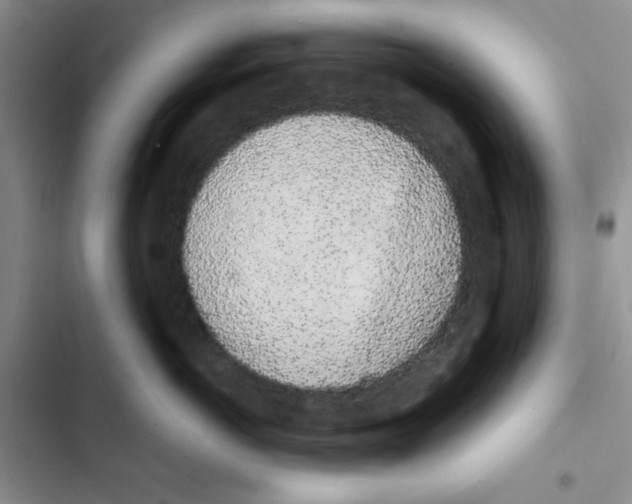 X0000102810766200809150952