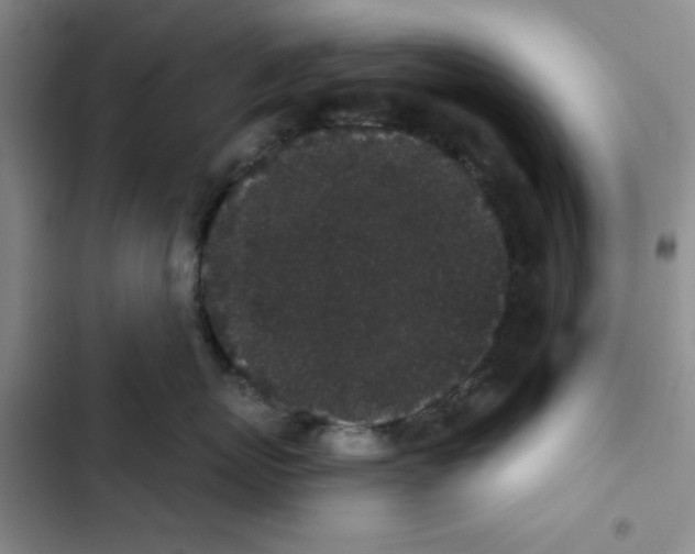 X0000102810767200809150952