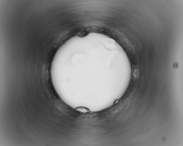 X0000102810771200809150951