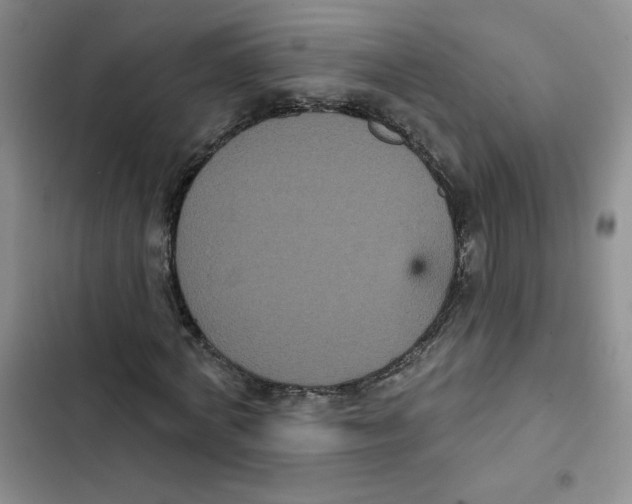 X0000102810772200809150951