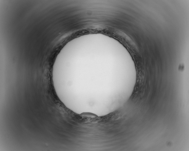 X0000102810773200809150951