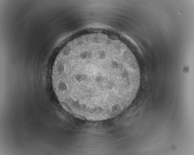 X0000102810775200809150951