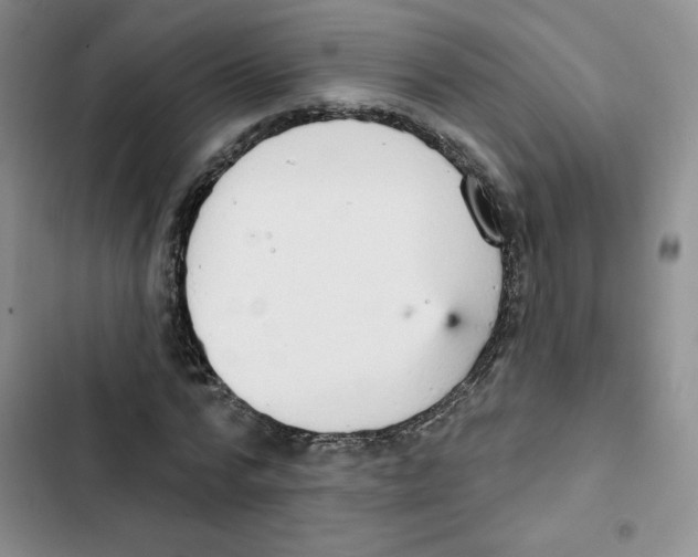 X0000102810776200809150951