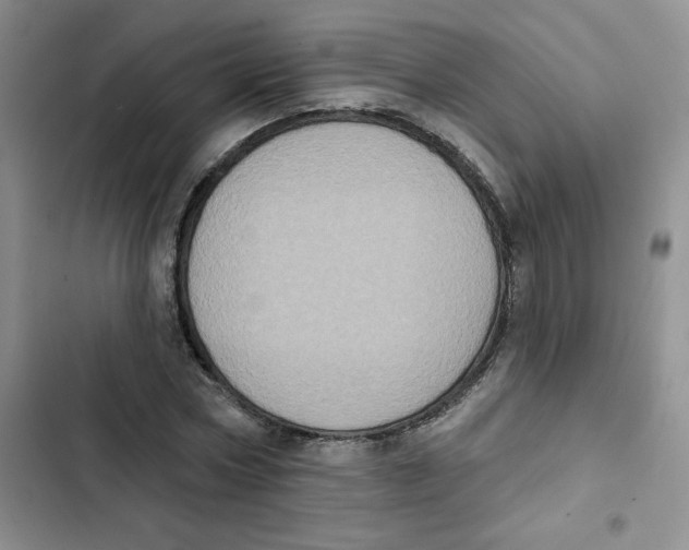 X0000102810778200809150951