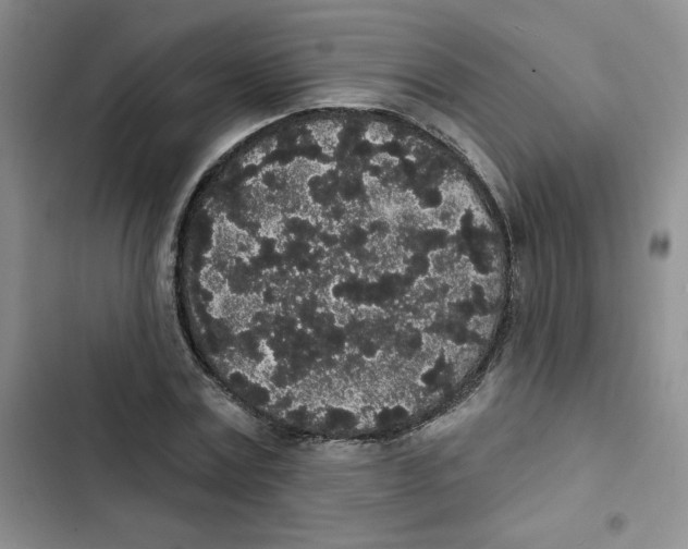 X0000102810779200809150951