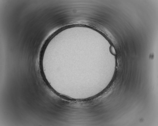 X0000102810780200809150951