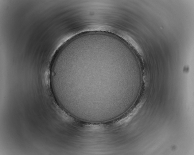 X0000102810781200809150951