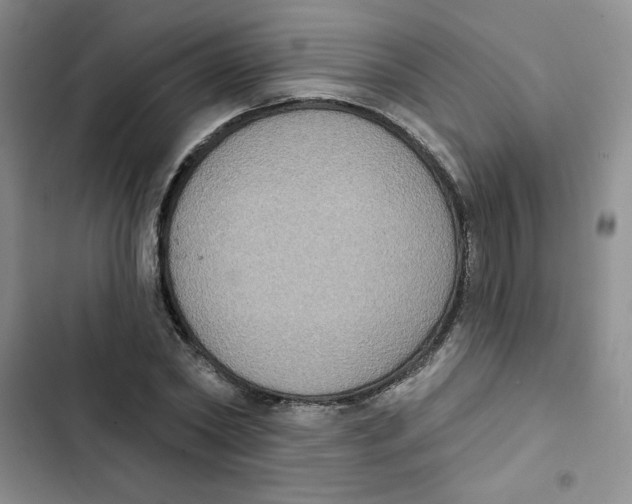 X0000102810782200809150951