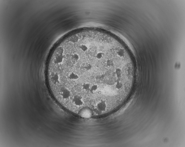 X0000102810783200809150951