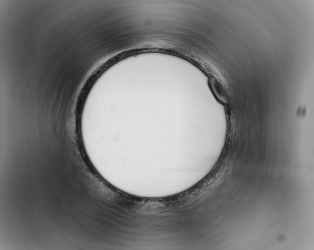 X0000102810784200809150951