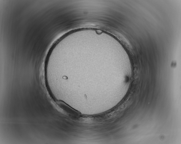 X0000102810792200809150950