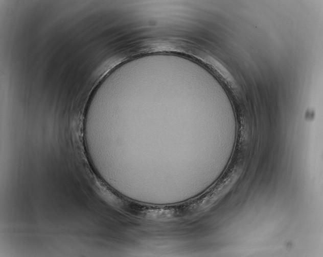 X0000102810793200809150950