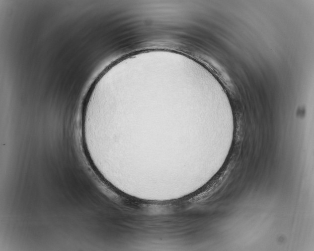 X0000102810796200809150950