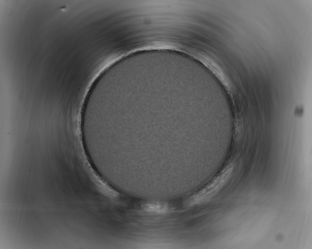 X0000102810797200809150950