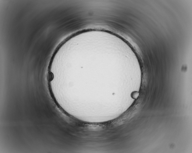 X0000102810799200809150950