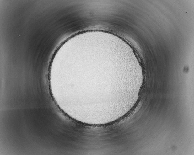 X0000102810800200809150950