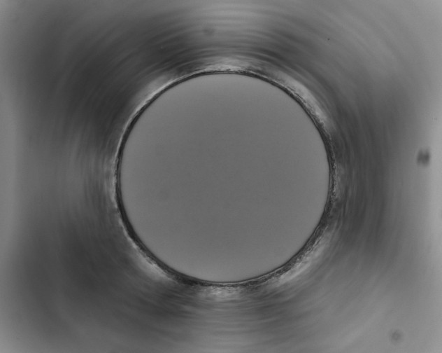 X0000102810802200809150950