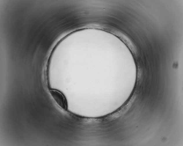 X0000102810808200809150950