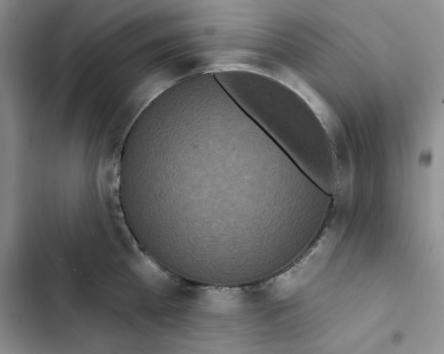 X0000102810809200809150950