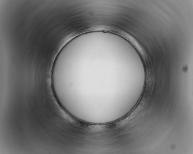 X0000102810810200809150950