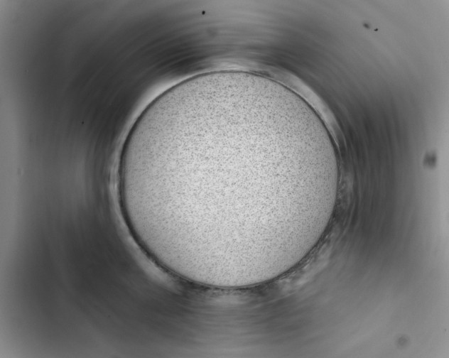 X0000102810811200809150950