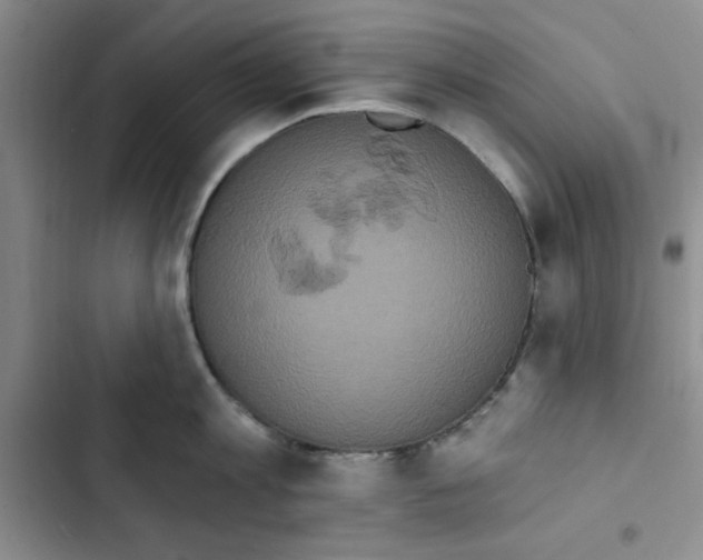 X0000102810813200809150950