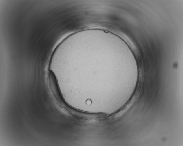 X0000102810814200809150950