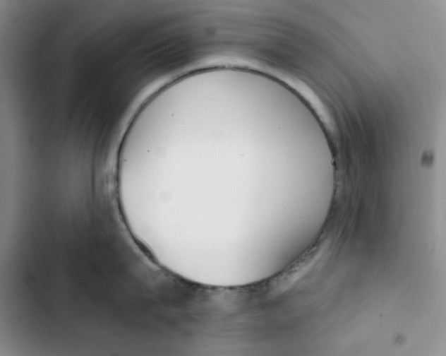 X0000102810815200809150950