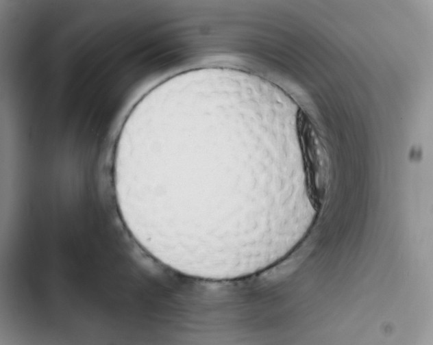 X0000102810816200809150950